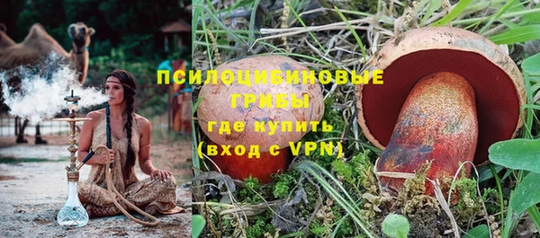 не бодяженный Арсеньев