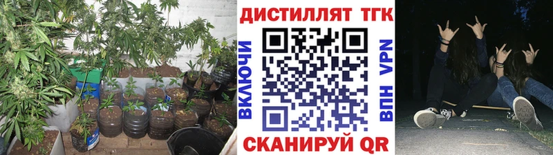 Дистиллят ТГК Wax  где купить   Избербаш 